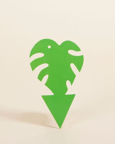 Sticky Leaf Moucherolles Pleureurs Vert 5 pieces