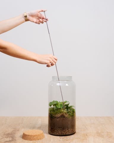 Toby Terrarium Pickup Tool