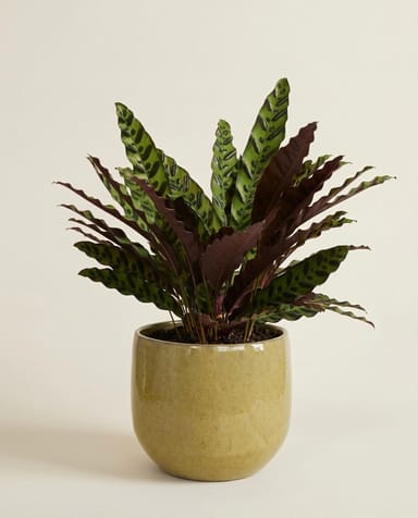 Matteo Pot Taupe Ø 22 cm