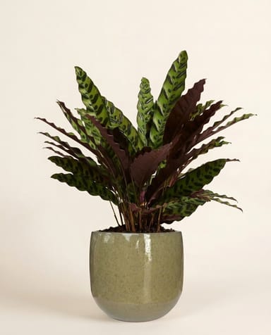 Matteo Pot Taupe Ø 15 cm