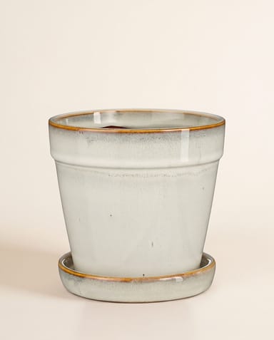 Clint Pot with Saucer Off White Ø 17 cm