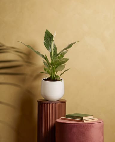 Matteo Pot White Ø 18 cm