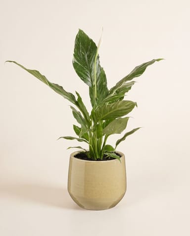 Matteo Pot Taupe Ø 18 cm