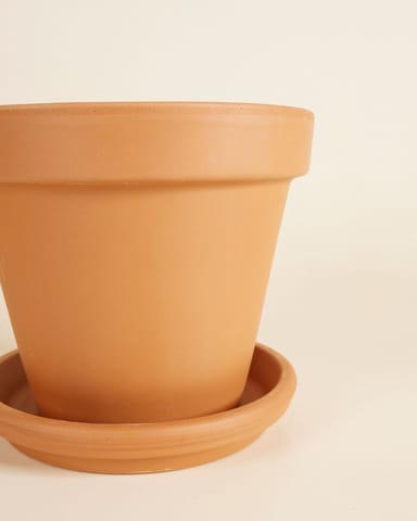 Pot en terre cuite Orange Ø 20 cm