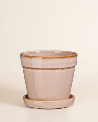 Clint Pot with Saucer Light Pink Ø 15 cm