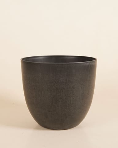 Bola Pot Black Ø 23