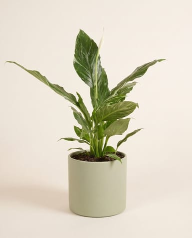 Era Pot Mint Green Ø 23 cm