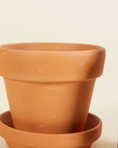 Grow Set 1 Terracotta 9cm, Plant Nutrition