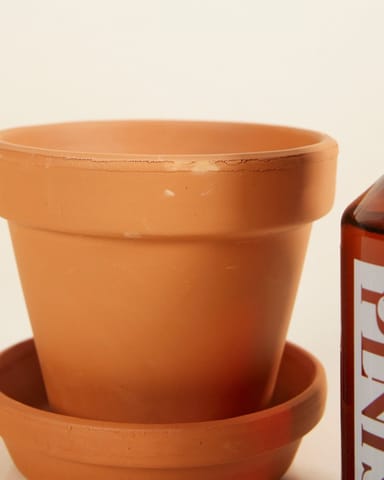 Grow Set 2 Terracotta 11cm, Plant Nutrition