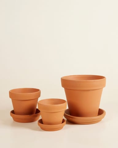 Repotting Set Terracotta 9cm, 11cm, 15cm