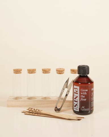Propagation Ensemble-cadeau Productset
