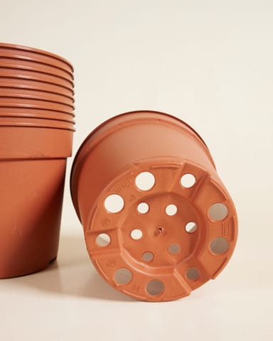 Set van 10 Kweekpotten Ø 15 cm Productset