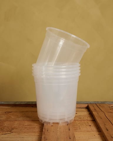 Satz mit 5 Anzuchttöpfe Transparent Ø 19 cm Productset
