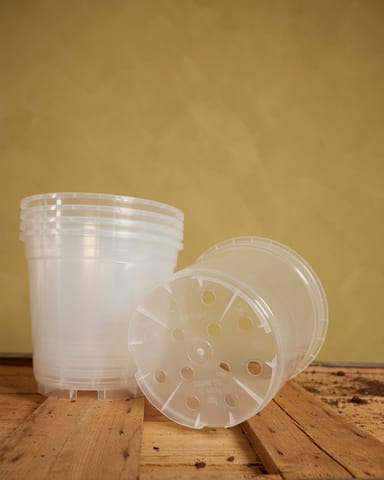Satz mit 5 Anzuchttöpfe Transparent Ø 19 cm Productset