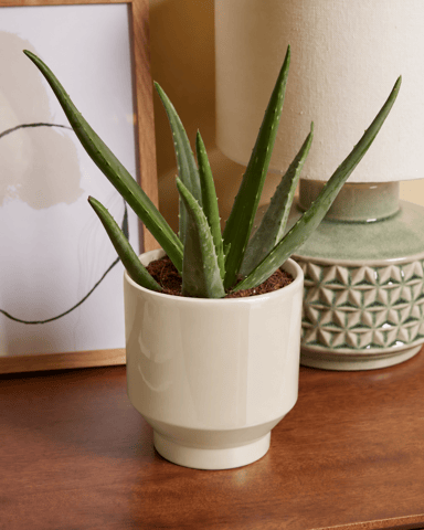 Paulo Pot Beige Ø 12 cm