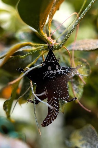 Überraschung Weihnachts plant buddy