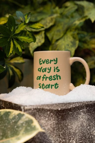 PLNTS Mug Everyday is a fresh start