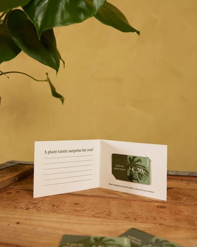 Carte Cadeau 50 euro