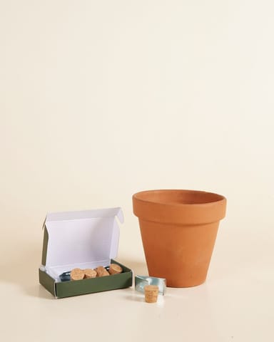 Clippy Muurmontage Kit  Voor 5 potten