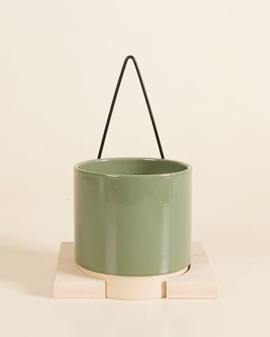 Lisa Pothanger Medium