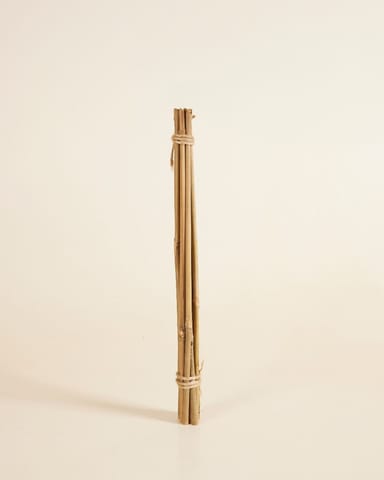 Bâton de bambou 40 cm 10 pièces