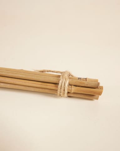 Bâton de bambou 40 cm 10 pièces