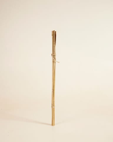 Bambusstab 50 cm 5 Stück
