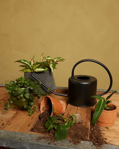 Ancho Gieter Zwart 1.2 liter