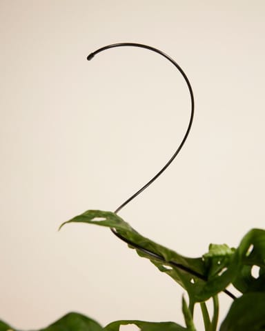 Spiral Pflanzendrahtgestell Schwarz 47 cm