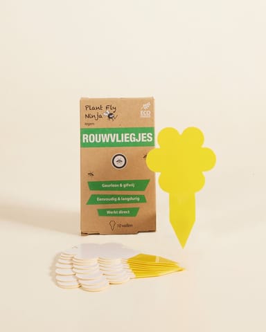 Moucherolles pleureurs Jaune 10 morceaux