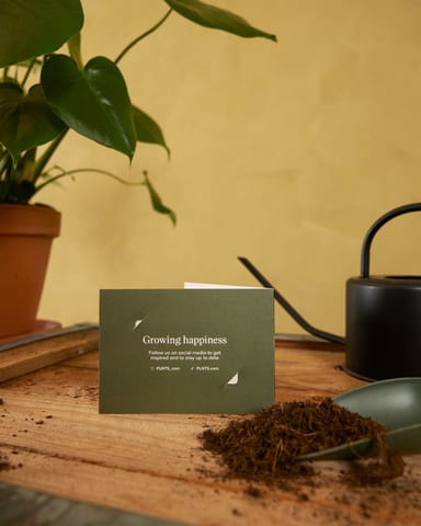 Giftcard 25 euro