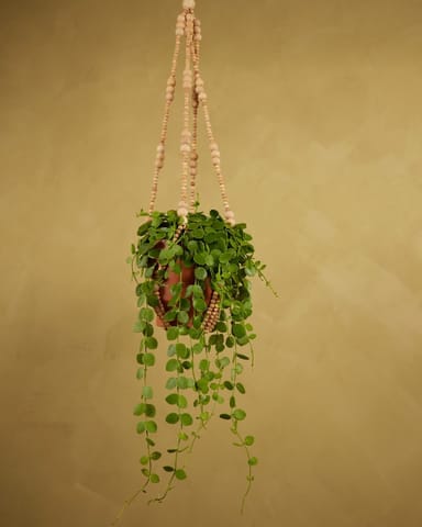 Terry Hanger Naturel 80 cm