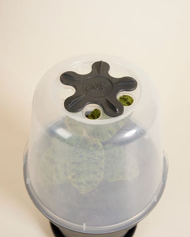 Elho Hagrid Grow House L