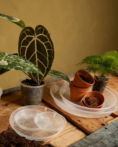 Plant Saucer Transparent Ø 21 cm