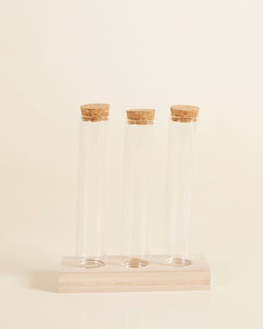 Julia Propagation Set 3 tubes