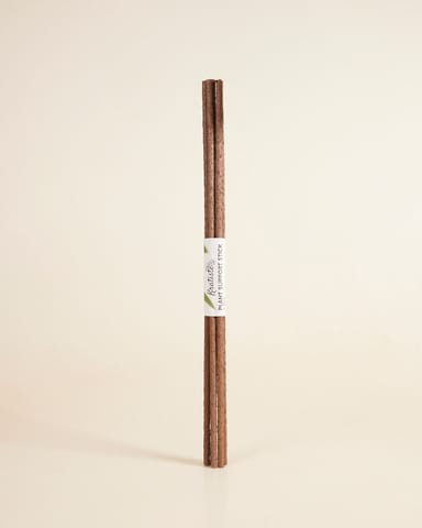 Kratiste Bâtons de support végétal biodégradables 5 pièces