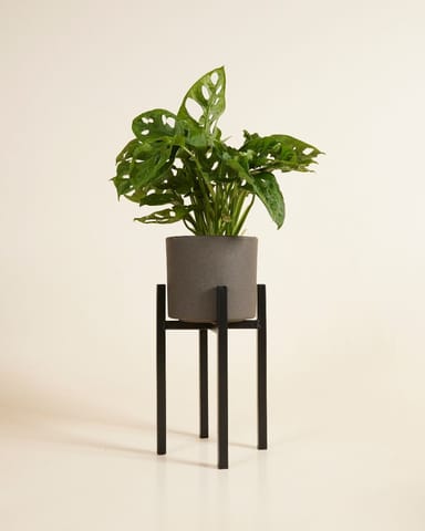 Support de Pot Paula  Noir 25 cm
