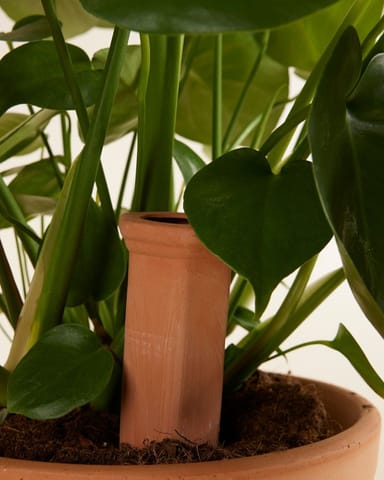 Goutte d'eau en terre cuite Irrigateur de plantes