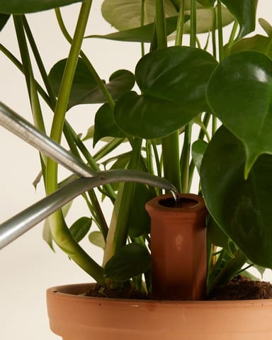 Goutte d'eau en terre cuite Irrigateur de plantes