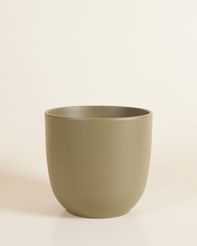 Lexi Pot Groen Ø 18.5 cm