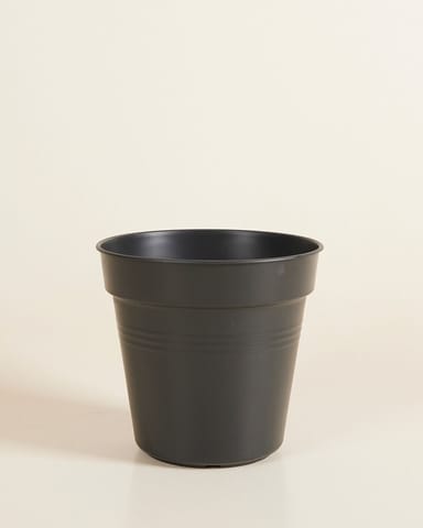 Elho Hagrid Pot De Culture Noir Ø 17 cm