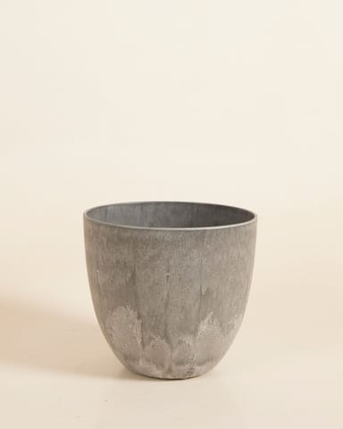 Bola Pot Grau Ø 16