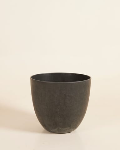 Pot Bola Noir Ø 16
