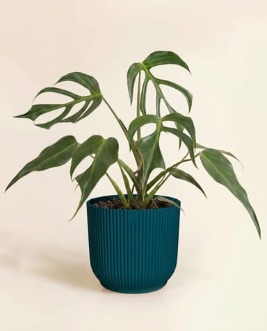 Elho Vibes Fold Ø 16 cm