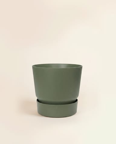 Elho Greenville Ø 16 cm