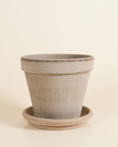 Grau Terrakotta Topf Ø 22 cm