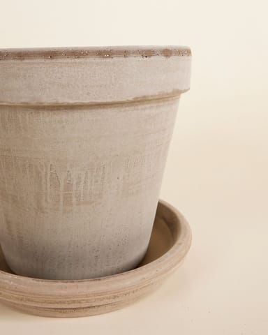 Grau Terrakotta Topf Ø 22 cm