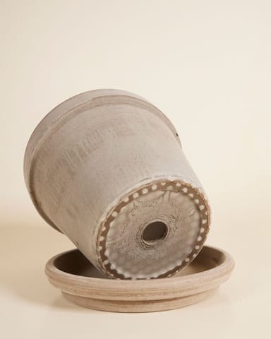 Grau Terrakotta Topf Ø 22 cm