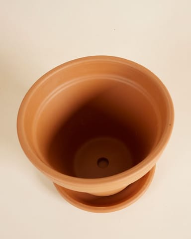 Orange Terrakotta Topf Ø 20 cm
