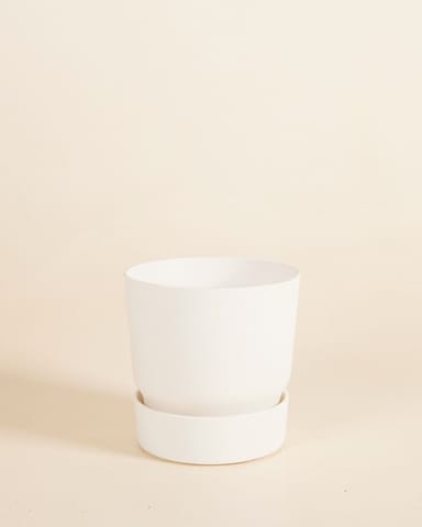 Elho Miles Round Pot White Ø 13 cm